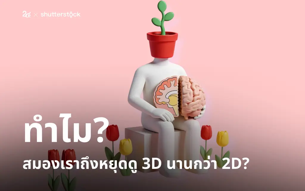 ทำไมสมองเราถึงหยุดดู 3D นานกว่า 2D?