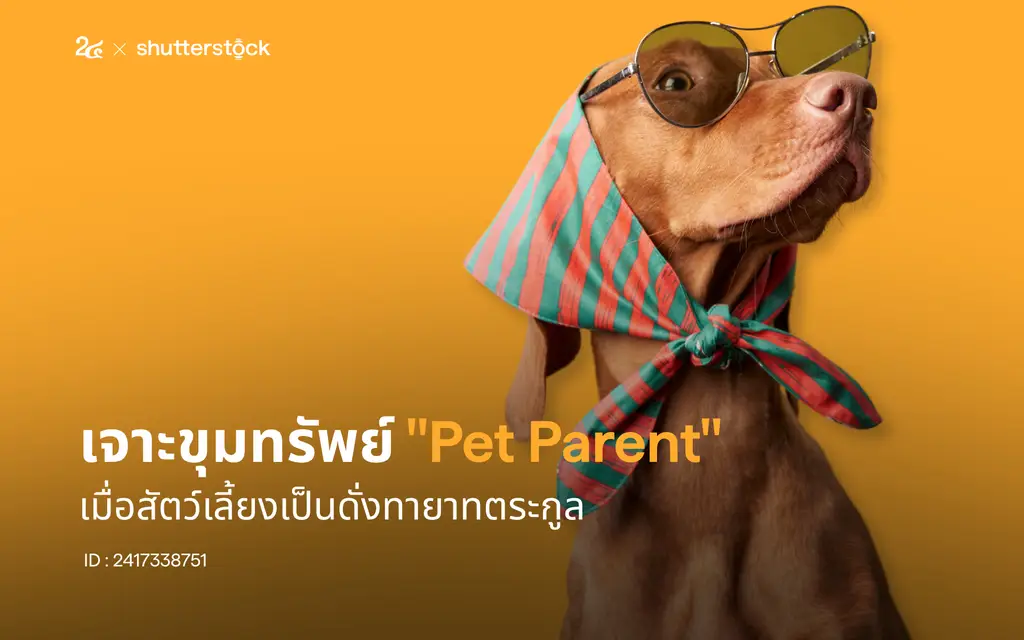 เจาะขุมทรัพย์ "Pet Parent" เมื่อสัตว์เลี้ยงเป็นดั่งทายาทตระกูล
