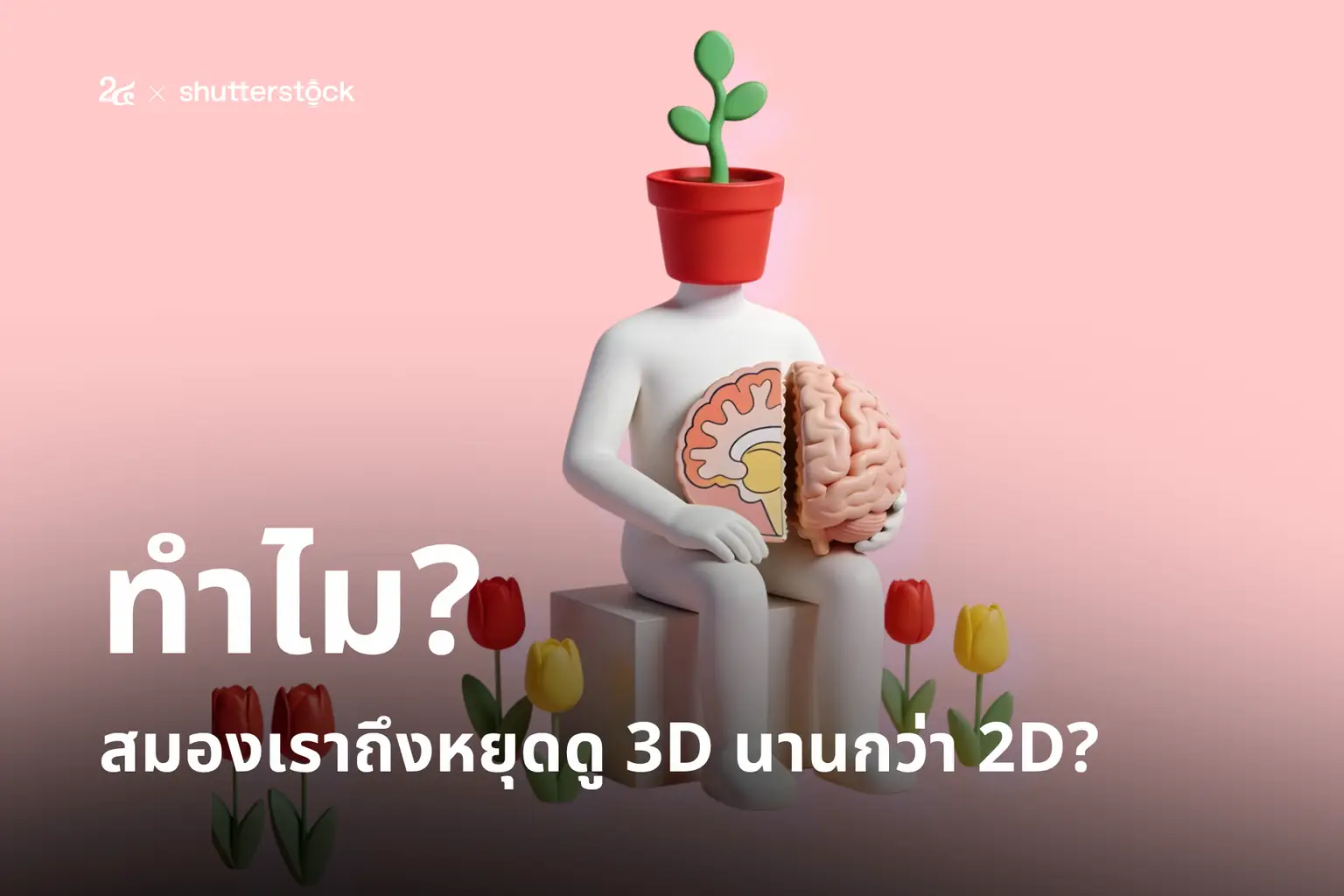ทำไมสมองเราถึงหยุดดู 3D นานกว่า 2D?