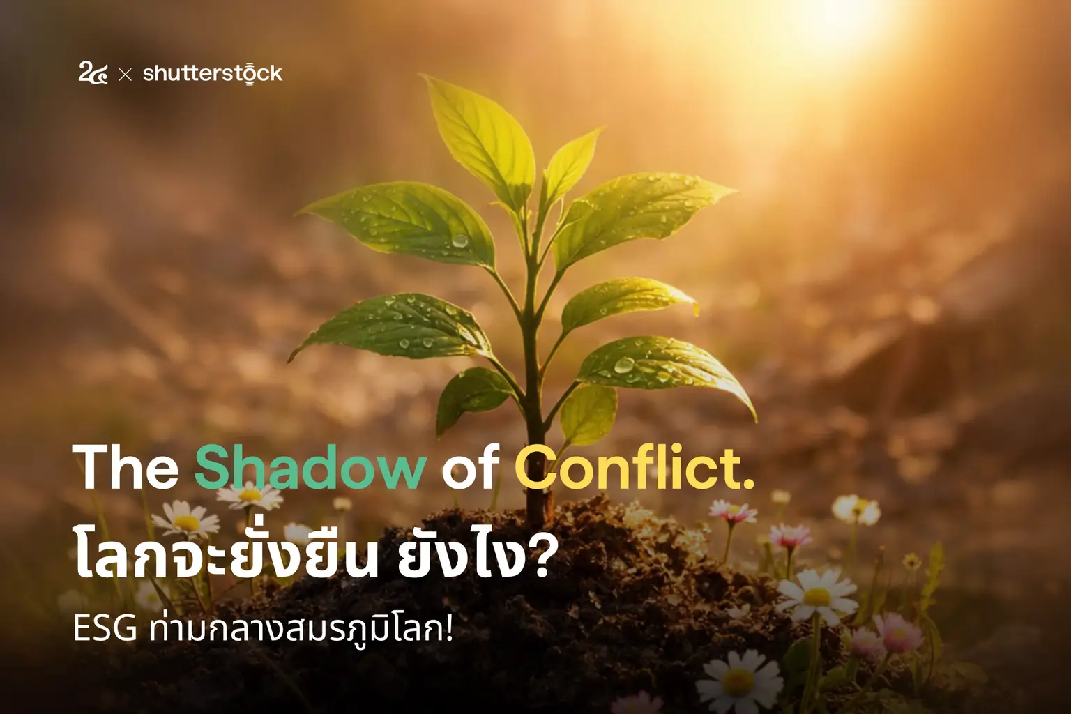The Shadow of Conflict โลกจะยั่งยืนได้ยังไง ในวันที่ยังมีสงคราม
