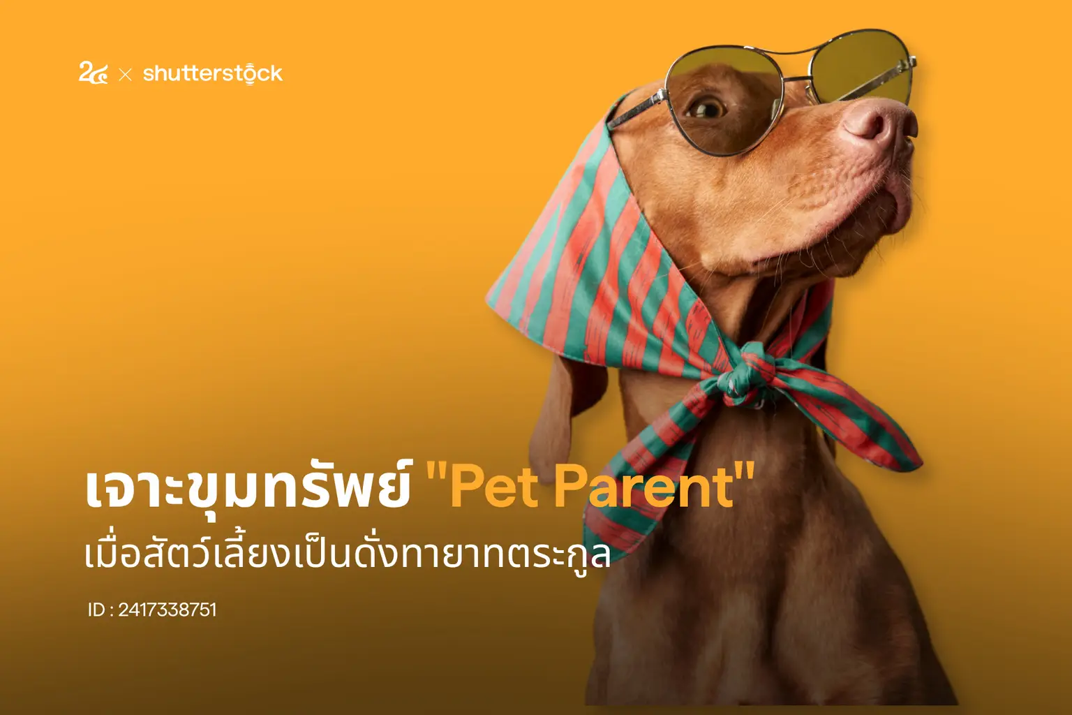 เจาะขุมทรัพย์ "Pet Parent" เมื่อสัตว์เลี้ยงเป็นดั่งทายาทตระกูล