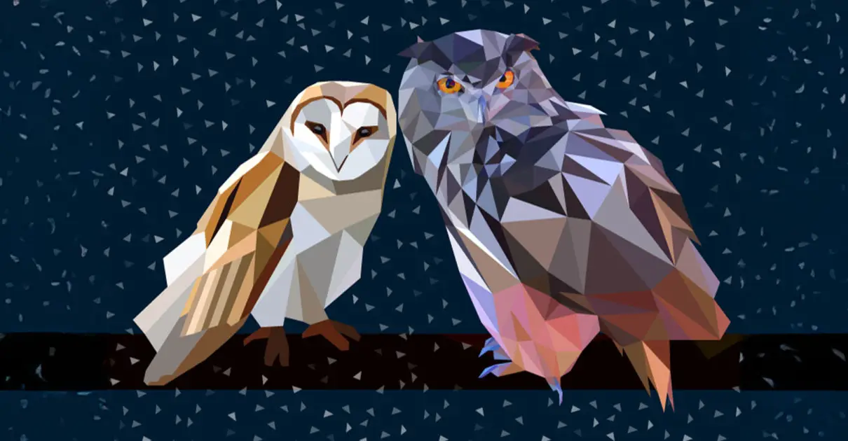 Low Poly คืออะไร? มาไขข้อสงสัยกัน!_cover