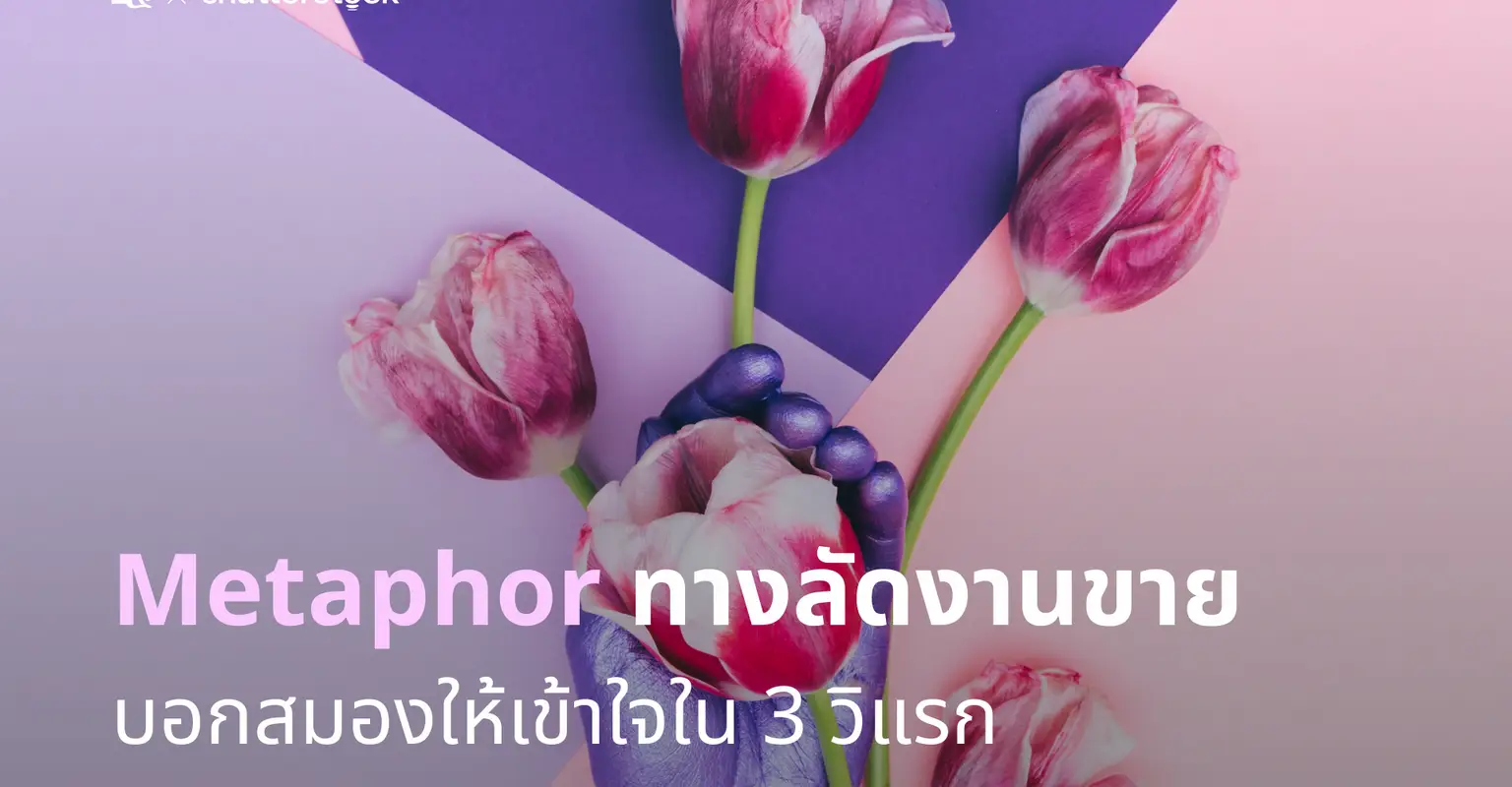 Metaphor ทางลัดงานขาย  บอกสมองให้เข้าใจใน 3 วิแรก_cover