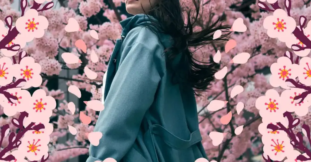 แจกฟรี! ภาพดอกซากุระบาน ยกระดับคอนเทต์ของคุณให้เบ่งบานดั่งซากุระ_cover