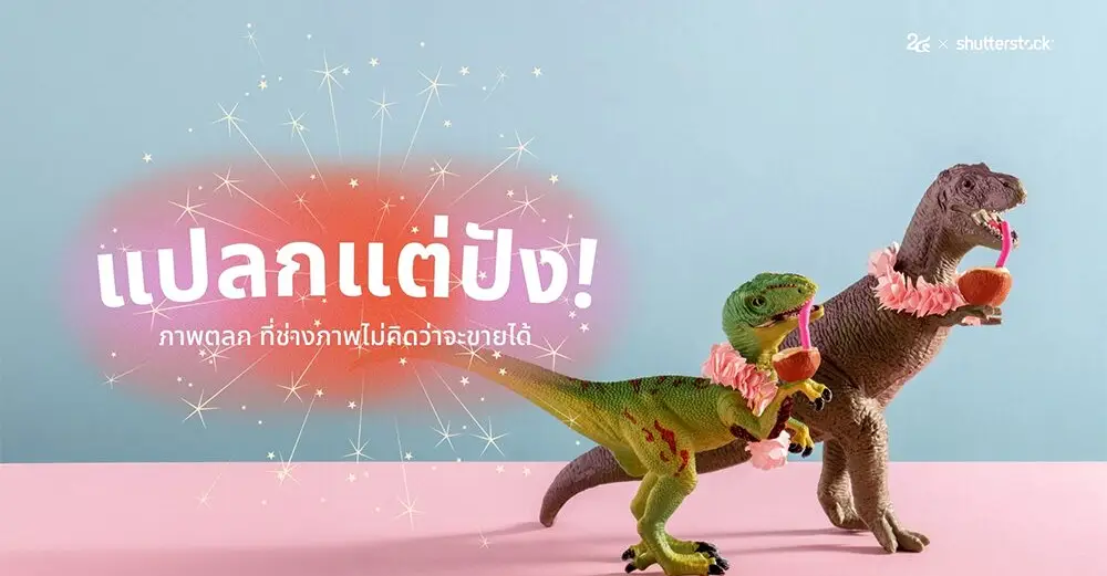 แปลกแต่ปัง! ภาพตลก ที่ช่างภาพไม่คิดว่าจะขายได้_cover