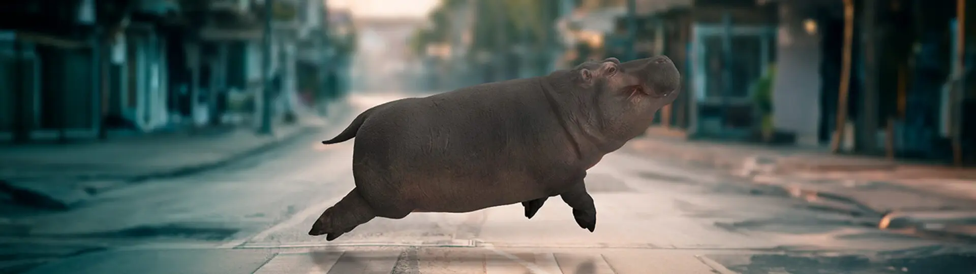Moo Deng (หมูเด้ง) ทำคอนเทนต์ของคุณเองด้วย PixelSquid โมเดล 3D_cover