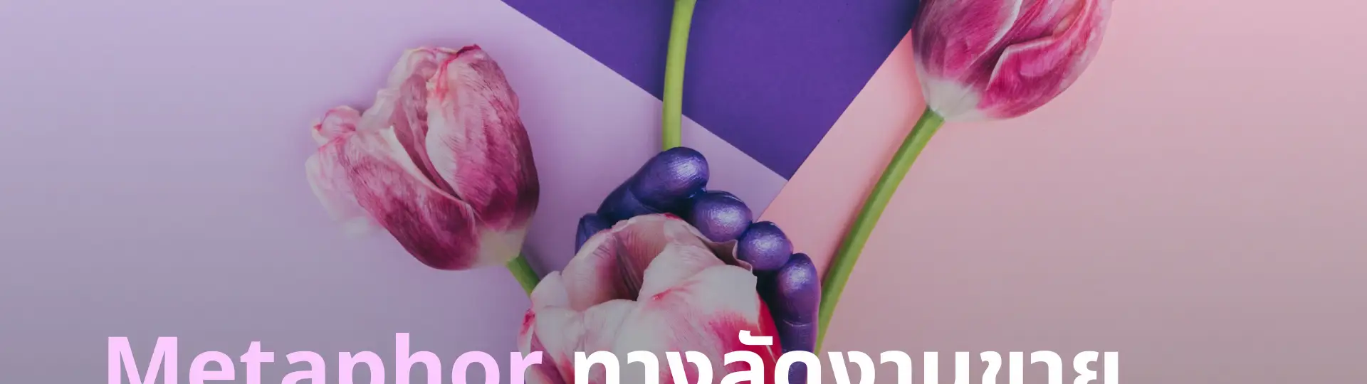 Metaphor ทางลัดงานขาย  บอกสมองให้เข้าใจใน 3 วิแรก_cover