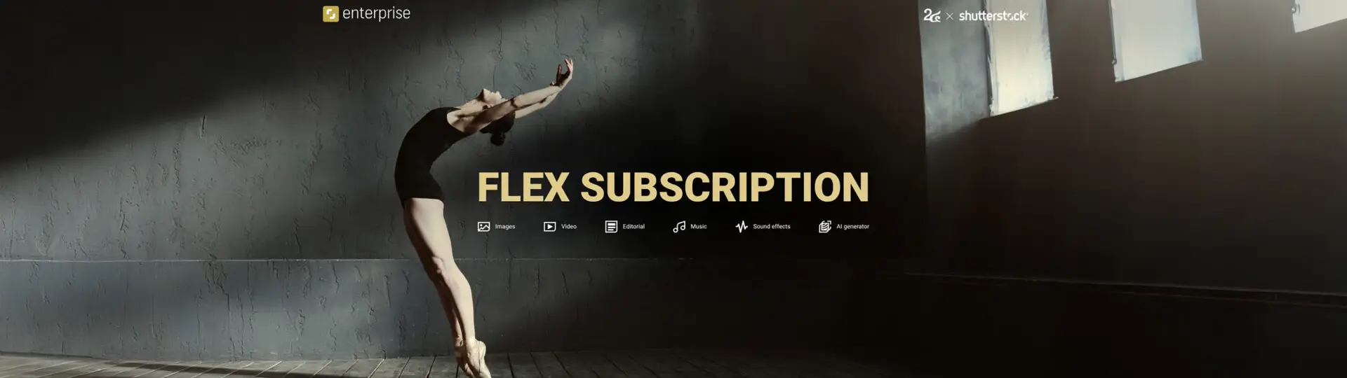 Flex Subscription แพ็กเกจ Shutterstock โหลดภาพก็ได้ วิดีโอก็ดี เพลงก็มีให้ ใช้ได้ทุกแคมเปญ_cover