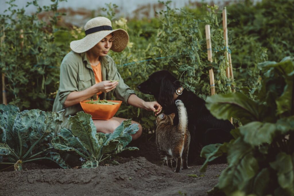 Woman,Feeding,Green,Peas,To,Dog,And,Cat,In,Garden