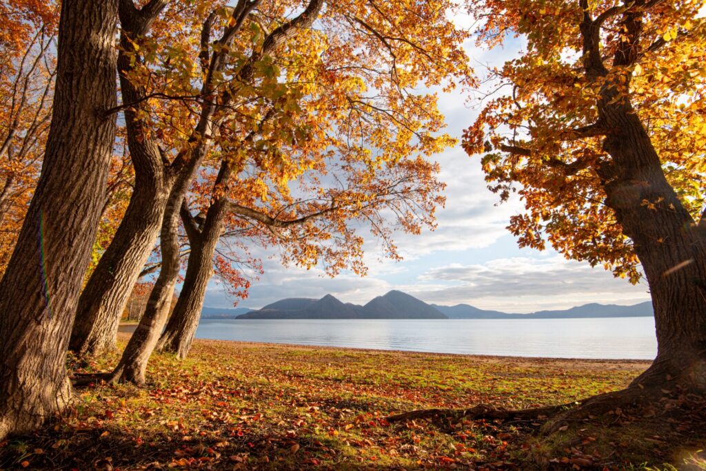 View,Of,Lake,Toya,,Framed,By,Autumn,Trees,In,The