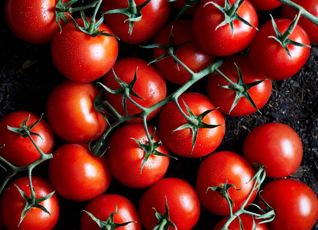 Top,View,Of,Delicious,Ripe,Red,Cherry,Tomatoes,On,Soil
