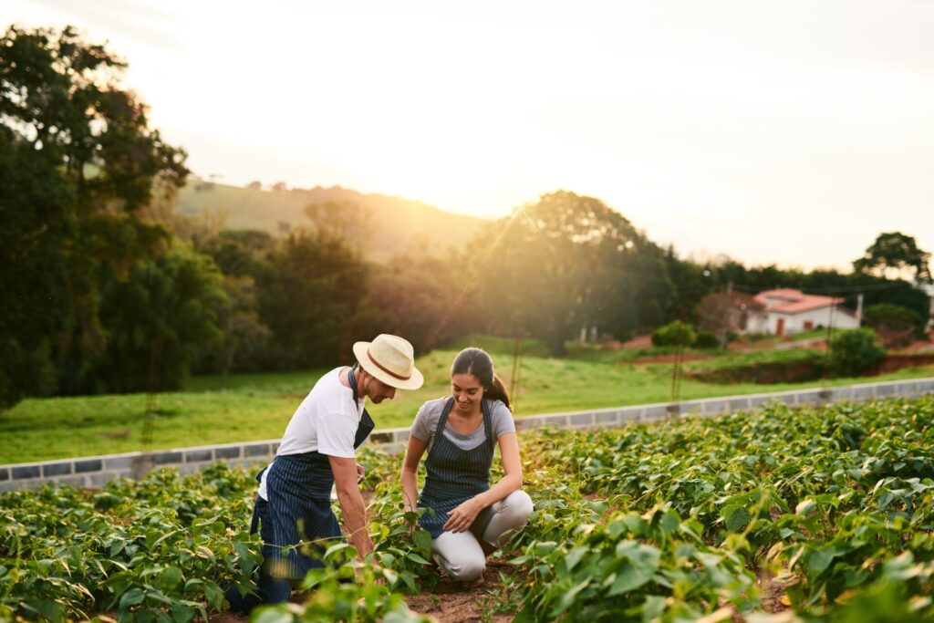 Nature,,Couple,And,Farming,Together,,Outdoor,And,Love,For,Sustainability,