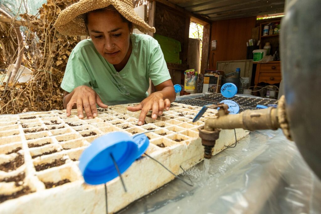 A,Woman,Wearing,A,Straw,Hat,Carefully,Planting,Seeds,In